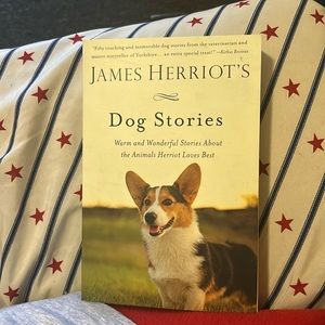 "Cozy up with 'Dog Stories'—heartwarming tales for $10.